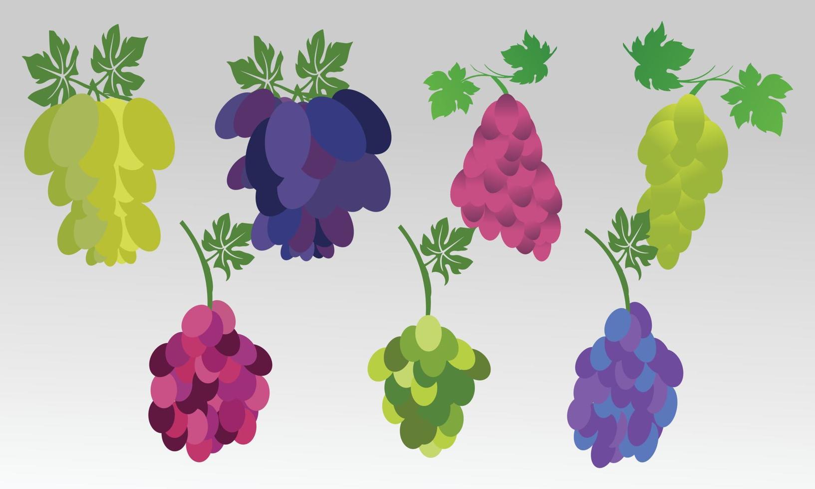 colección de vectores de uvas