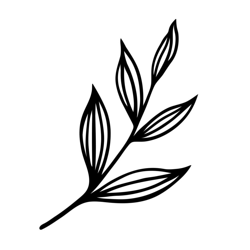 Tree branch vector icon. Veins on leaves with a stem. Black outline, simple doodle. Hand drawn line art isolated on white. Botanical sketch of a meadow, forest, garden plant. Clipart for cards, print