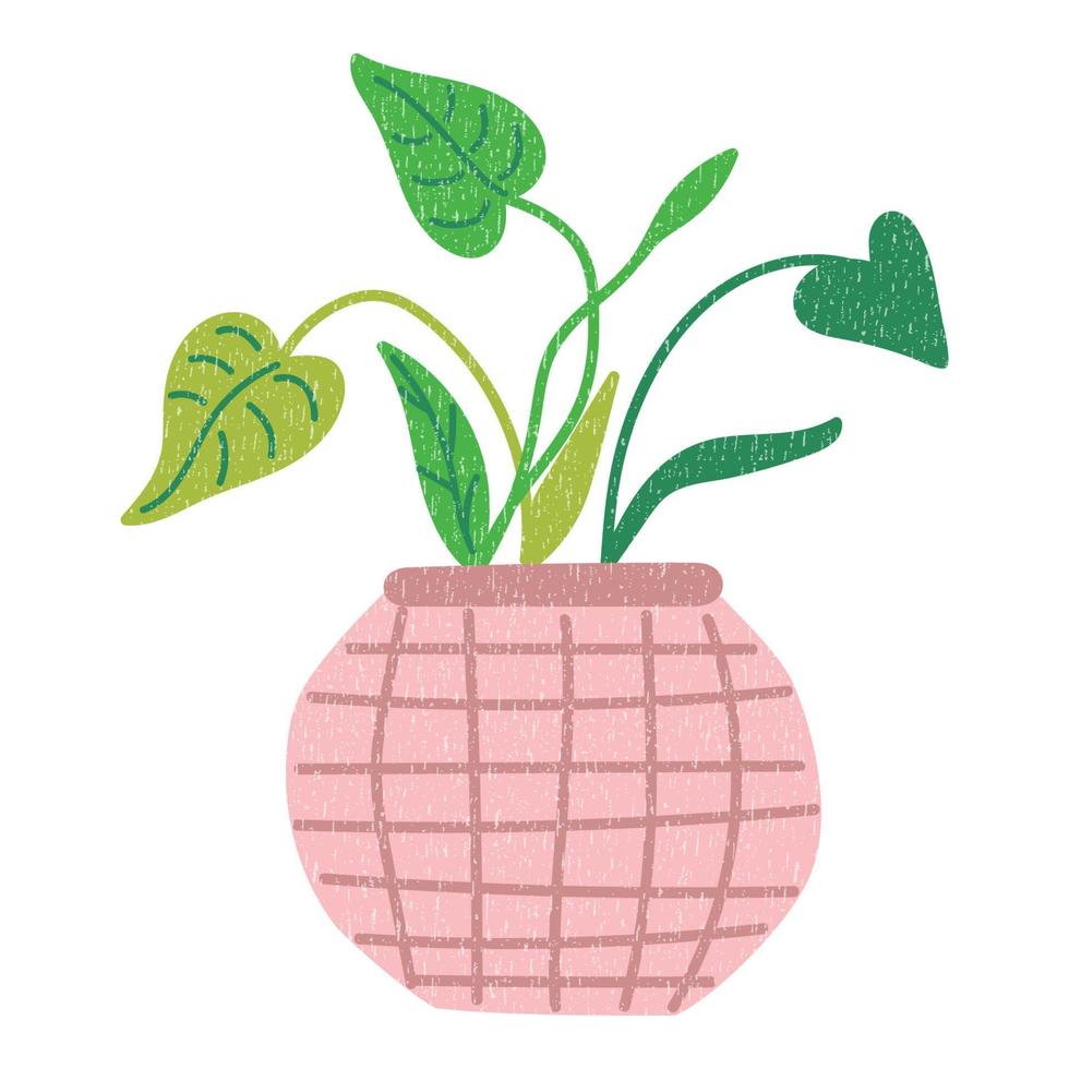 Flower, plant with leaves in pot. Home plant. Flat cartoon minimal style. vector