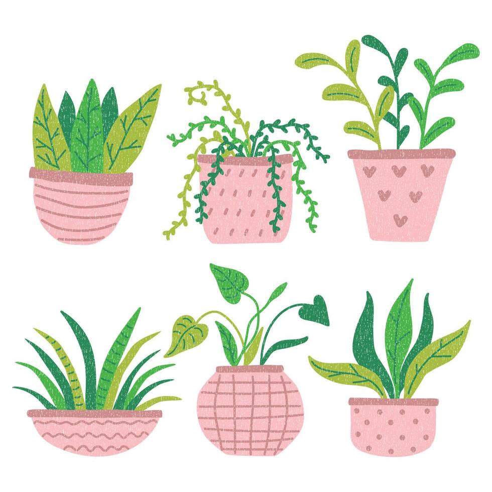 planta en conjunto de ilustración de vector de maceta. Dibujos animados de diferentes plantas de interior decorativas en macetas para el interior del hogar o la oficina. iconos dibujados a mano aislados en blanco