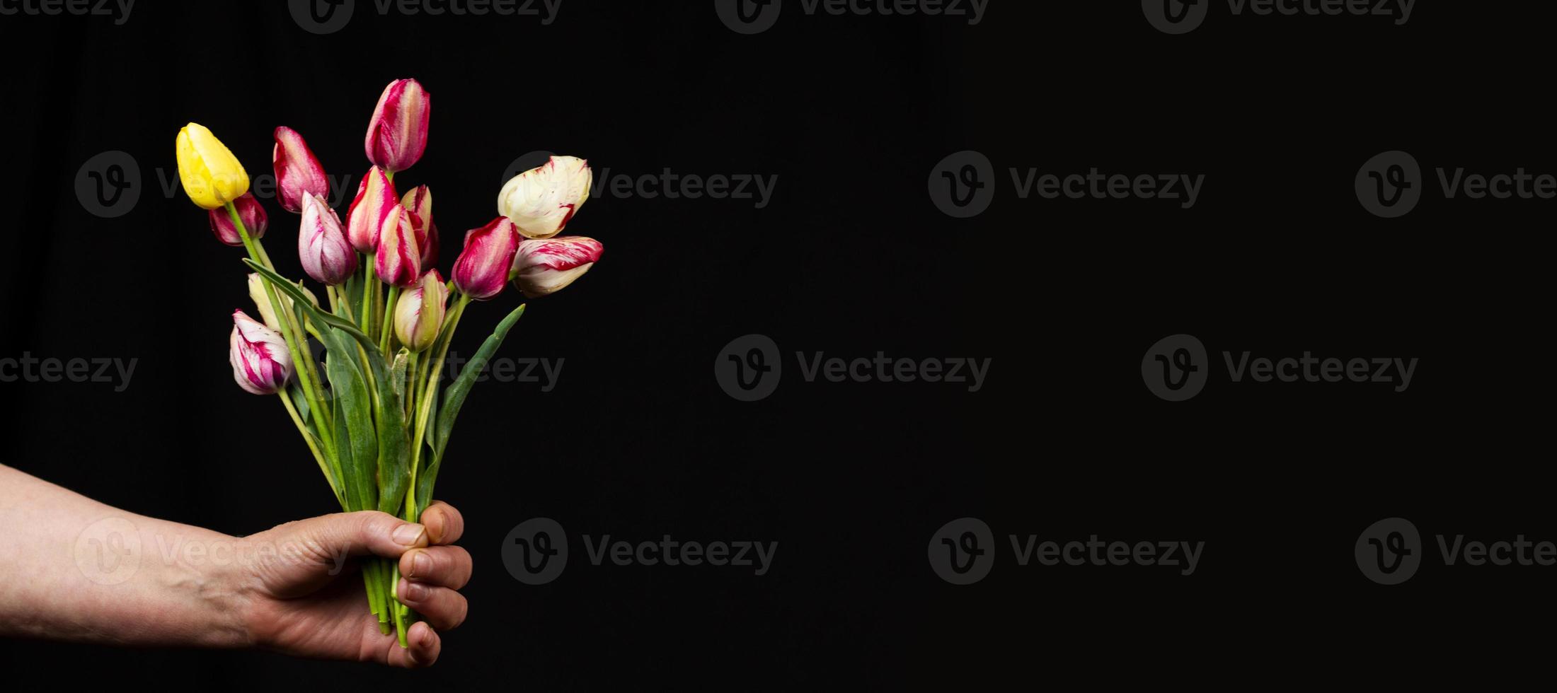 hand holds a large bouquet of delicate multi-colored tulips photo