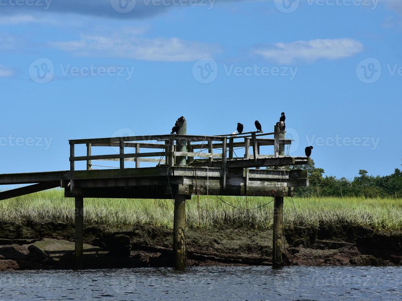 Wooden Dock Over a Tidal River and Marsh photo