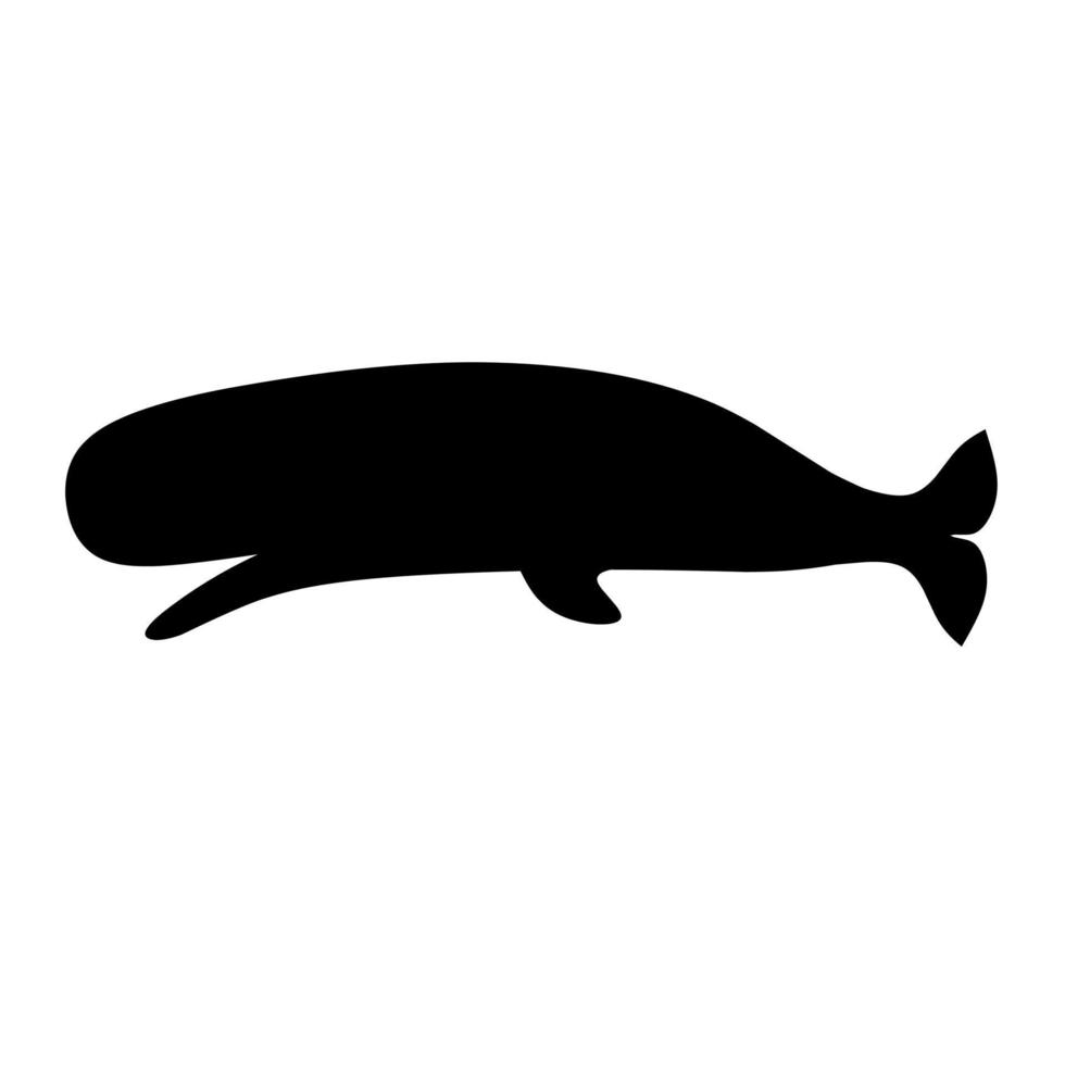 Silhouette of a sperm whale on a white background. Great for sea animal logos. vector