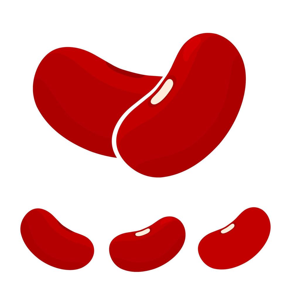 Red bean vector. Nuts that are high in protein are very good for body