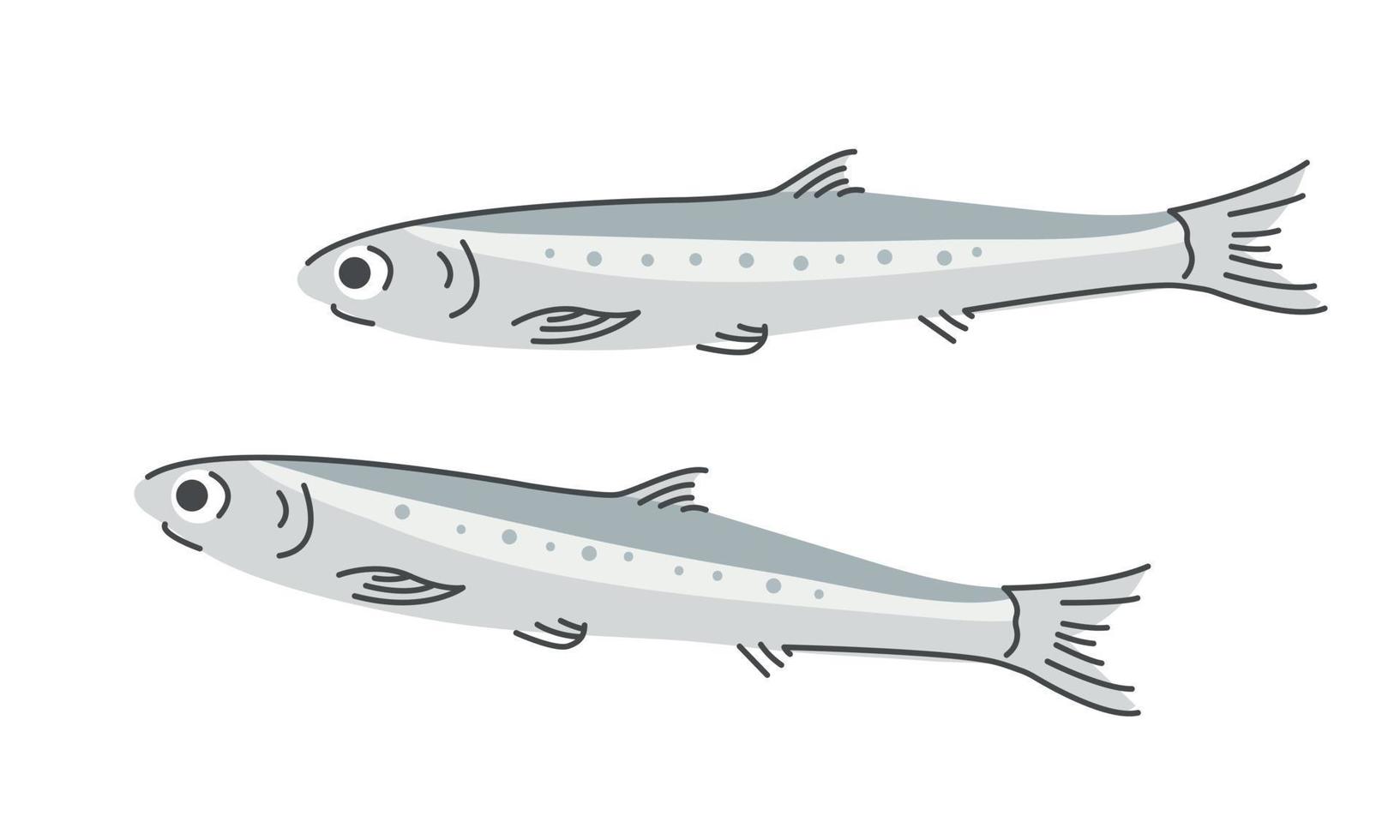 un conjunto de especies de peces comerciales de anchoa. menú de mariscos, lonja de pescado. ilustración vectorial aislado sobre fondo blanco vector