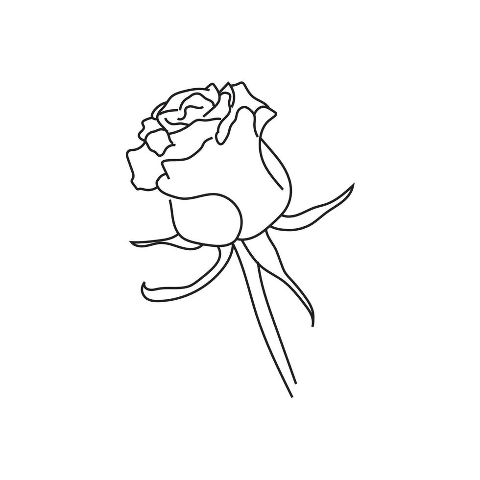lina art rose flower vector
