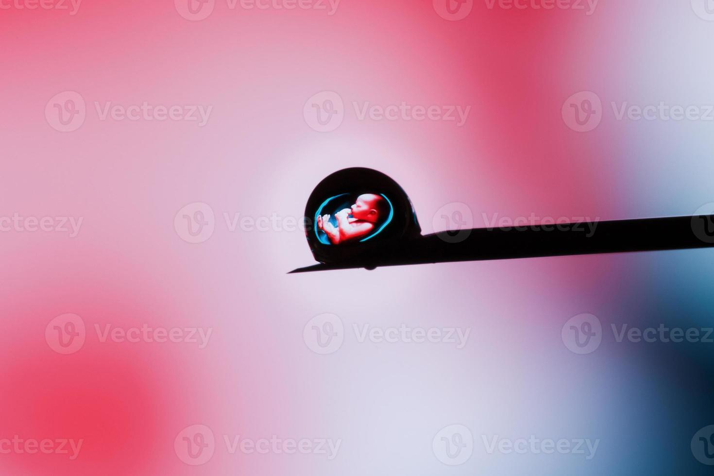 Human embryo in a drop on the tip of a needle on a pink background. illustrative editorial photo