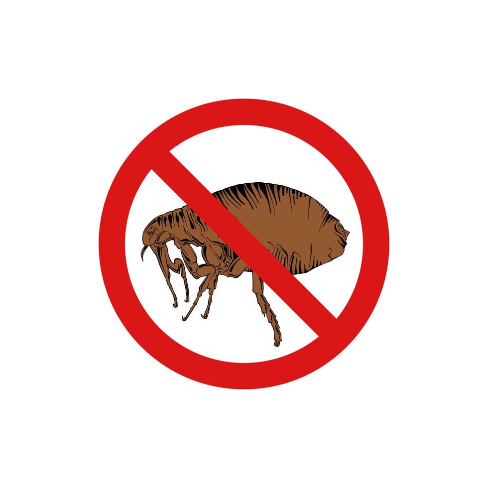 vector dibujado a mano ilustración aislada grabada de pulgas, parásito animal. insecto prohibido, parada, advertencia, prohibido, no, señal de error de prohibición. dibujo detallado de estilo de grabado vintage.