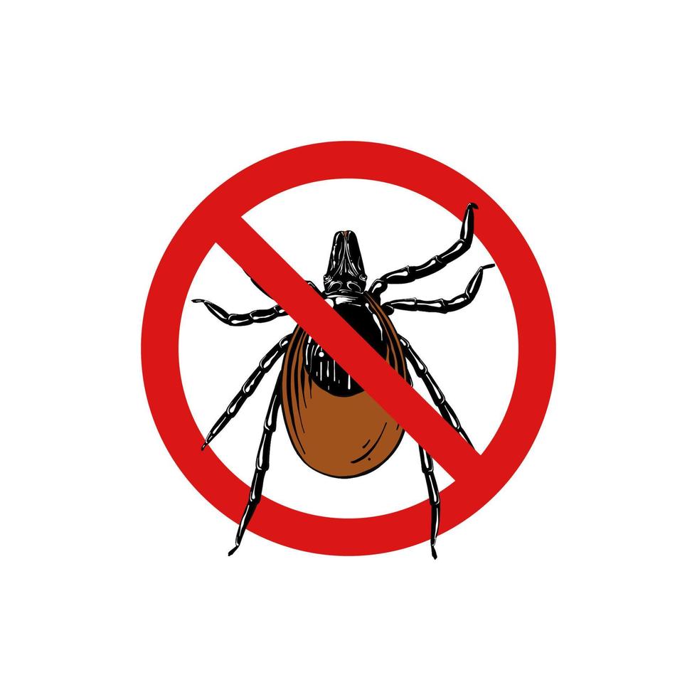 vector dibujado a mano ilustración aislada grabada de alergia a los ácaros, parásito, araña. insecto prohibido, parada, advertencia, prohibido, no, señal de error de prohibición. dibujo detallado de estilo de grabado vintage.