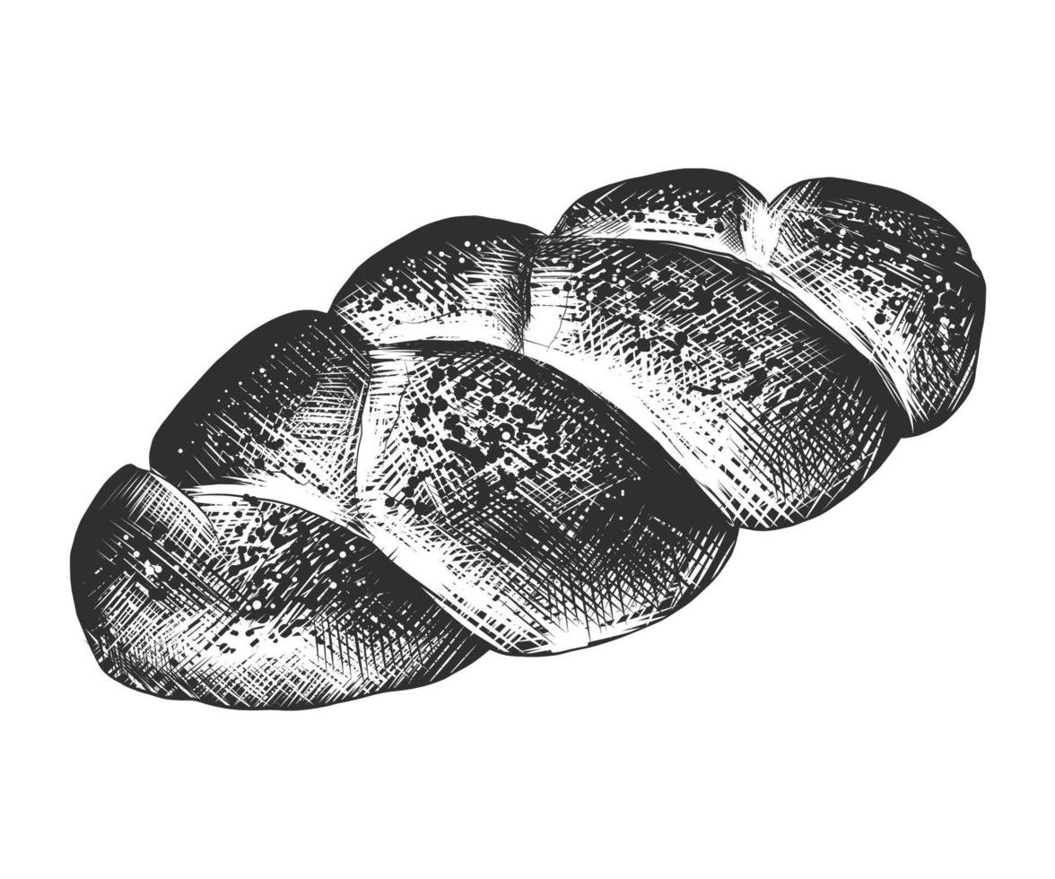 Vector engraved style illustration for posters, decoration and print. Hand drawn sketch of braided bread loaf in monochrome isolated on white background. Detailed vintage woodcut style drawing.