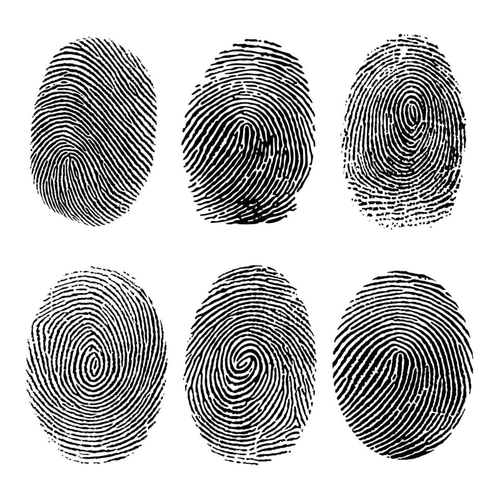 Human fingerprints set. Set of vector realistic fingerprints. Vector stock illustration.