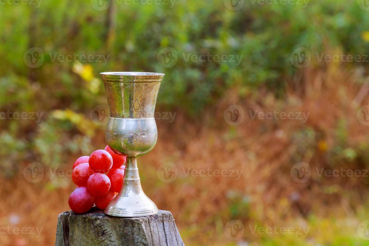 Tasty wine on wooden barrel grape background photo