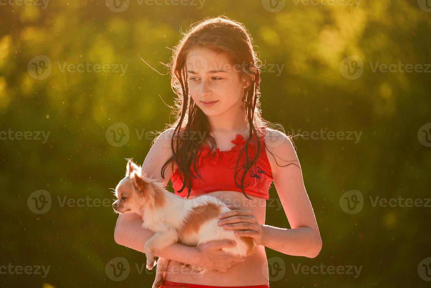 A teenage girl in a red swimsuit with a dog in her arms. A girl and a chihuahua near the river. photo