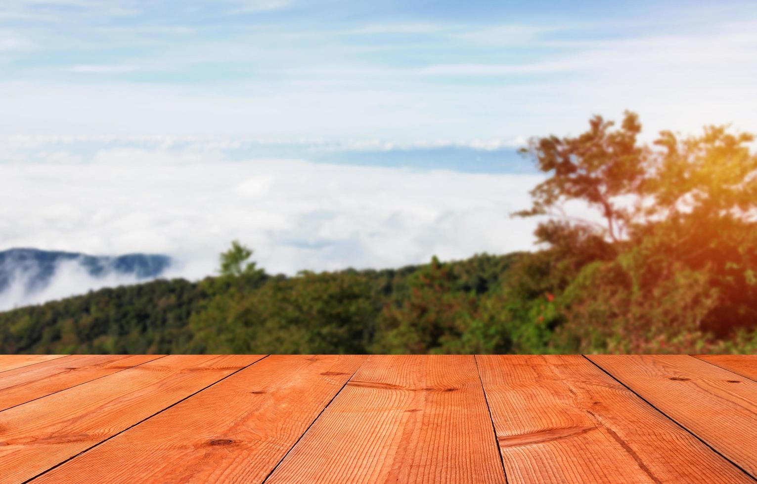 brown wooden board on mountain photo