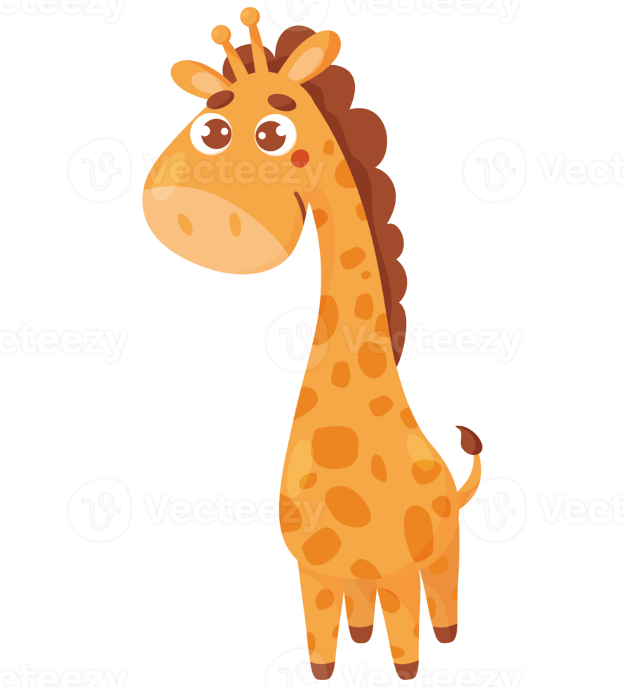 cute animal giraffe png