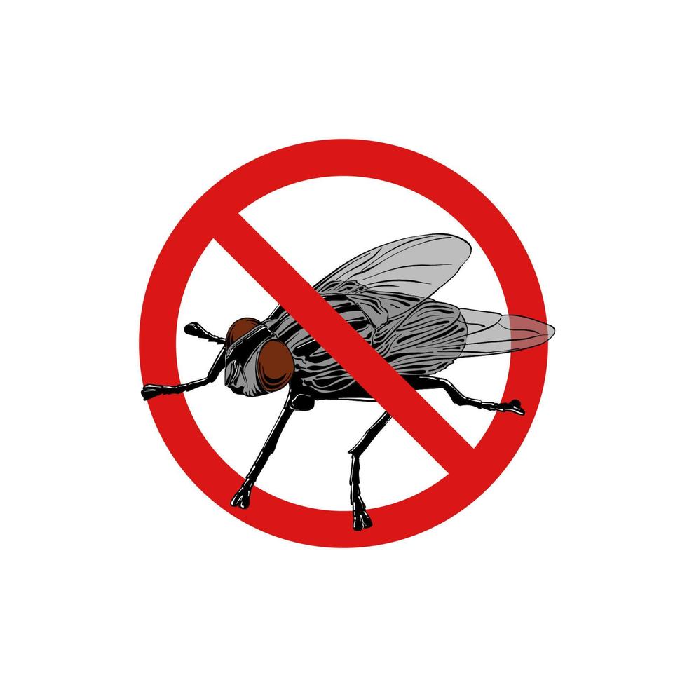 Vector hand drawn engraved isolated illustration of fly. Prohibited insect, stop, warning, forbidden, no, ban bug sign. Detailed vintage etching style drawing.
