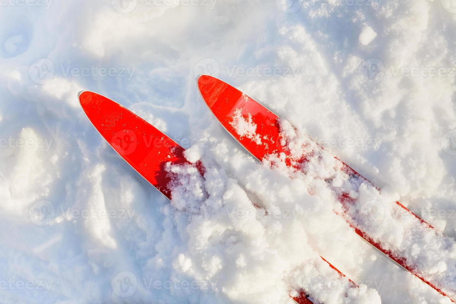 puntas de esquís rojos en la nieve soleada foto