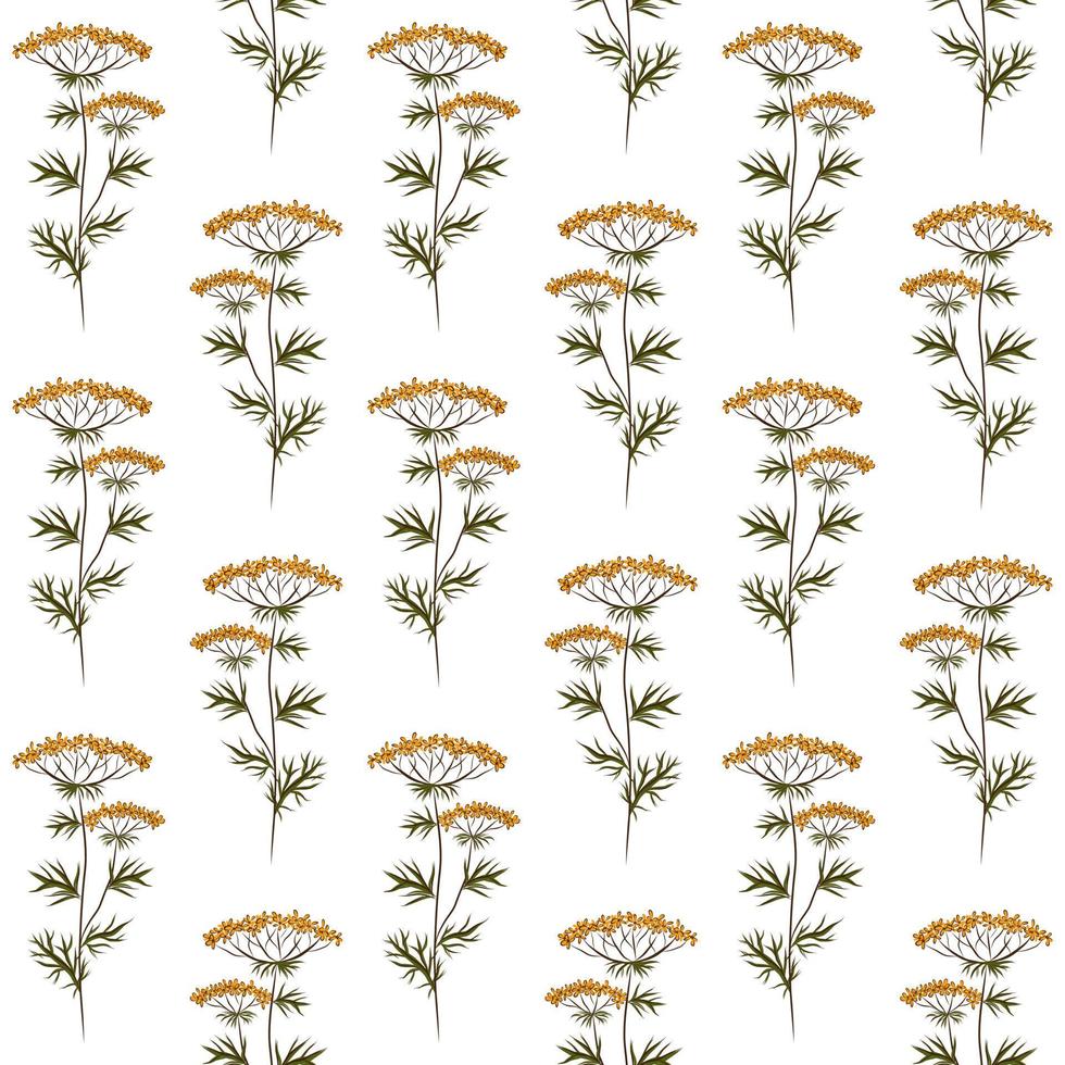 WHITE VECTOR SEAMLESS BACKGROUND WITH YELLOW WILD FLOWERS OF KUPYR