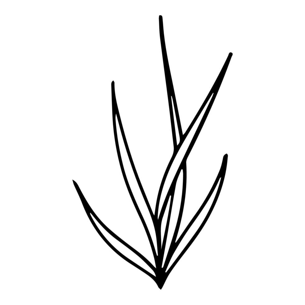 Hand drawn grass in doodle style. One line. vector