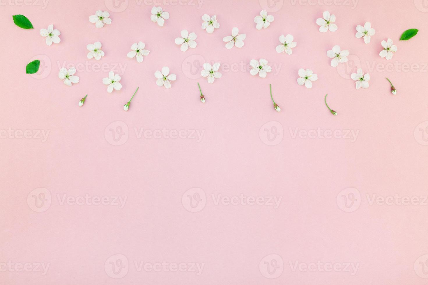White spring cherry tree blooming flowers pattern photo