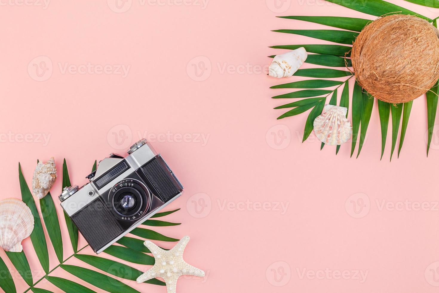 Palm leaves and coconuts on pink pastel background photo