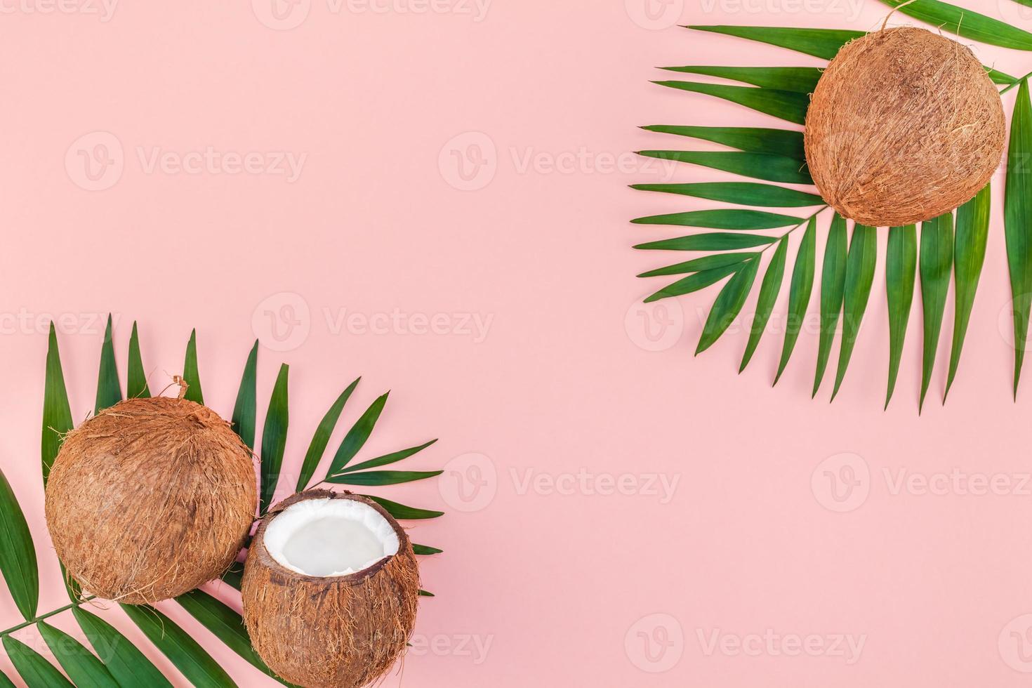 Palm leaves and coconuts on pink pastel background photo