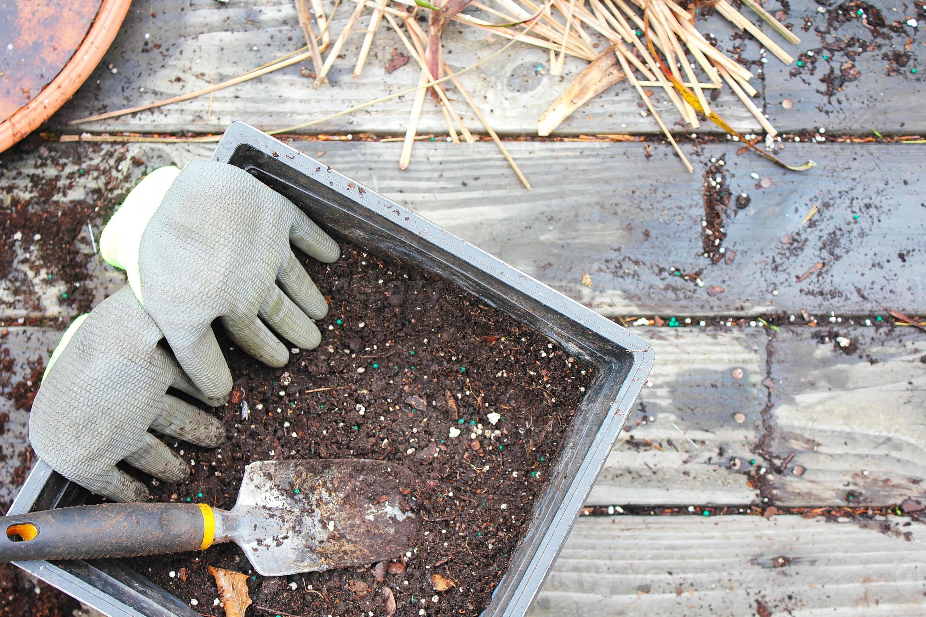Plant pots with soil prepared for planting and gloves, pickle placed on