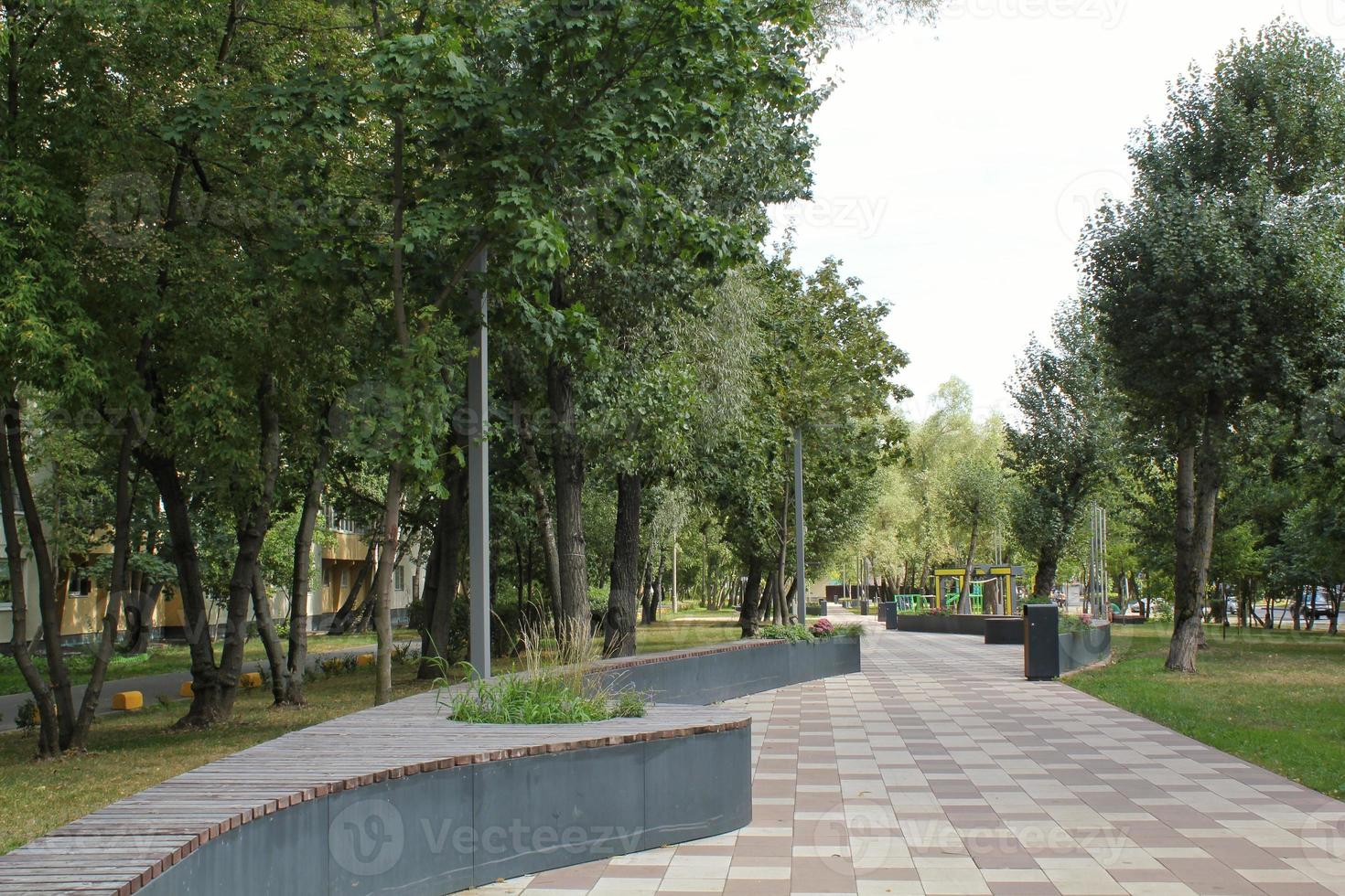 Empty geometric curved modern concrete bench with wooden slats in public park. Urban planning, city improvement, public space concept. Town recreation area. Architecture design comfortable garden photo