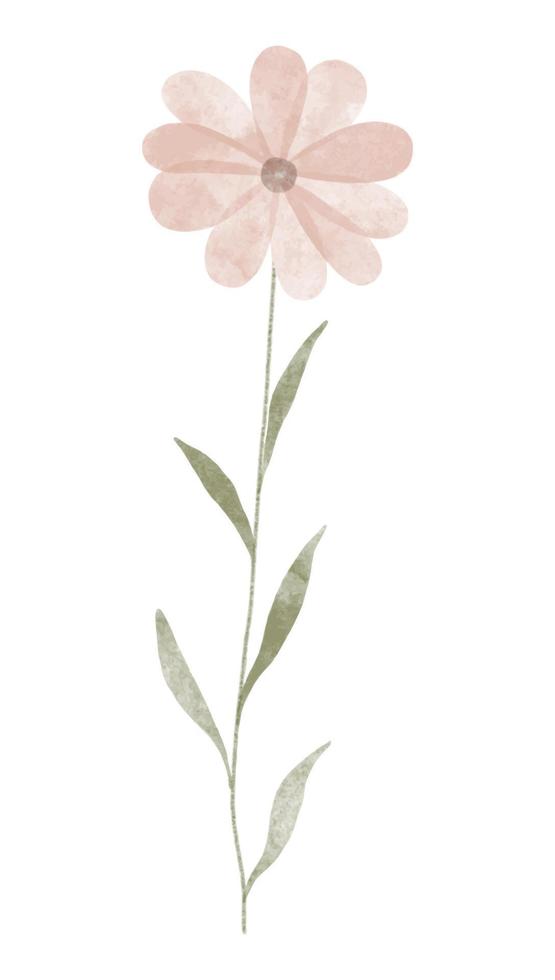 Watercolor trendy flower. Vector illustration for web, app and print. Elegant feminine shape floristic isolated daisies flowers. Garden, botanical, minimalistic floral element.