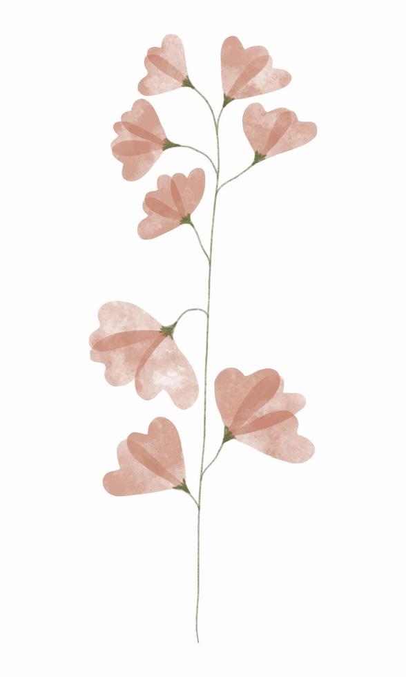 Watercolor trendy flower. Vector illustration for web, app and print. Elegant feminine shape floristic isolated sweet pea flower. Garden, botanical, minimalistic floral element.