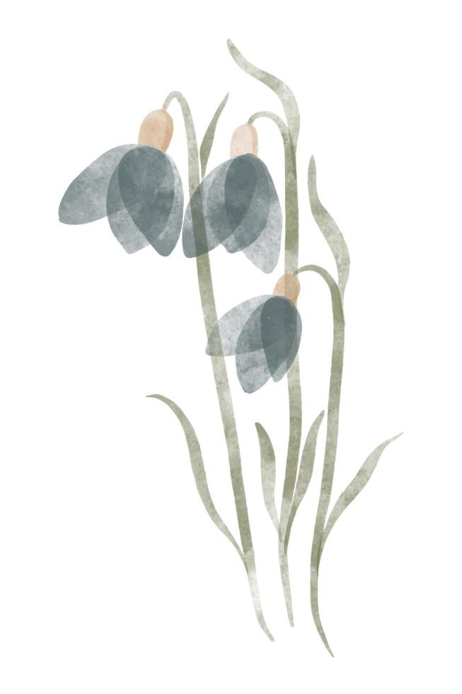 Watercolor trendy flower. Vector illustration for web, app and print. Elegant feminine shape floristic isolated snowdrop flower. Garden, botanical, minimalistic floral element.