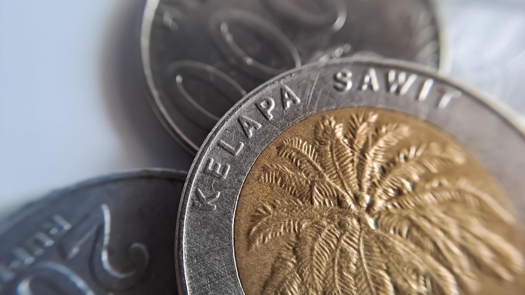 One thousand rupiah coin from Indonesia with the palm oil symbol isolated on white background, Diterbitkan oleh bank Indonesia pada tahun 1993 photo