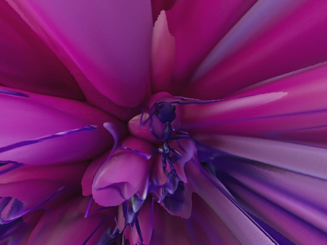 abstracto colorido floreciente dalia flor fondo macro hormiga rosa azul foto