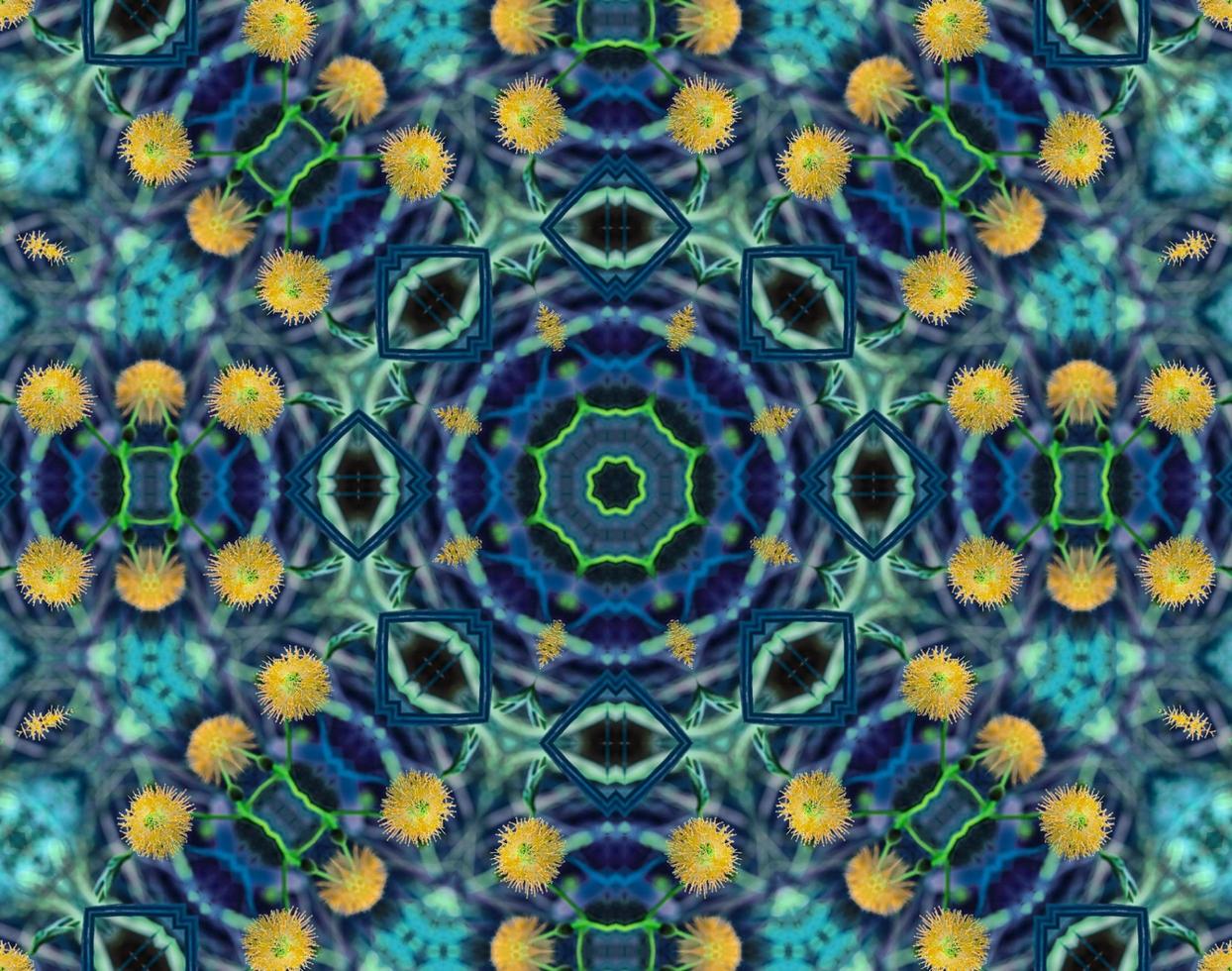 background abstract flame mandala flower colorful photo