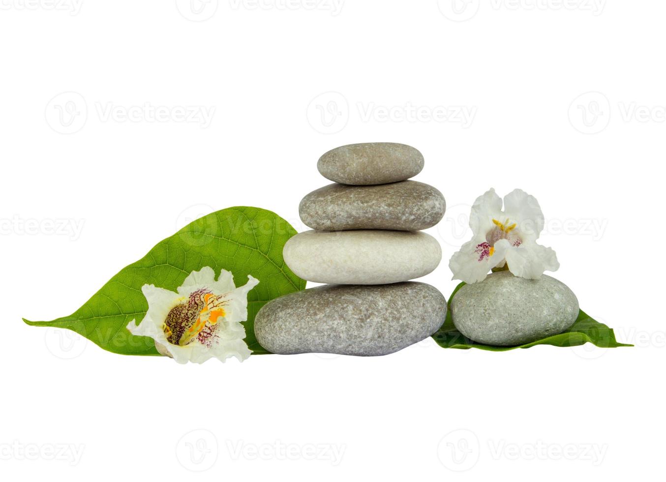 Sea stones with leaf isolated on white background photo