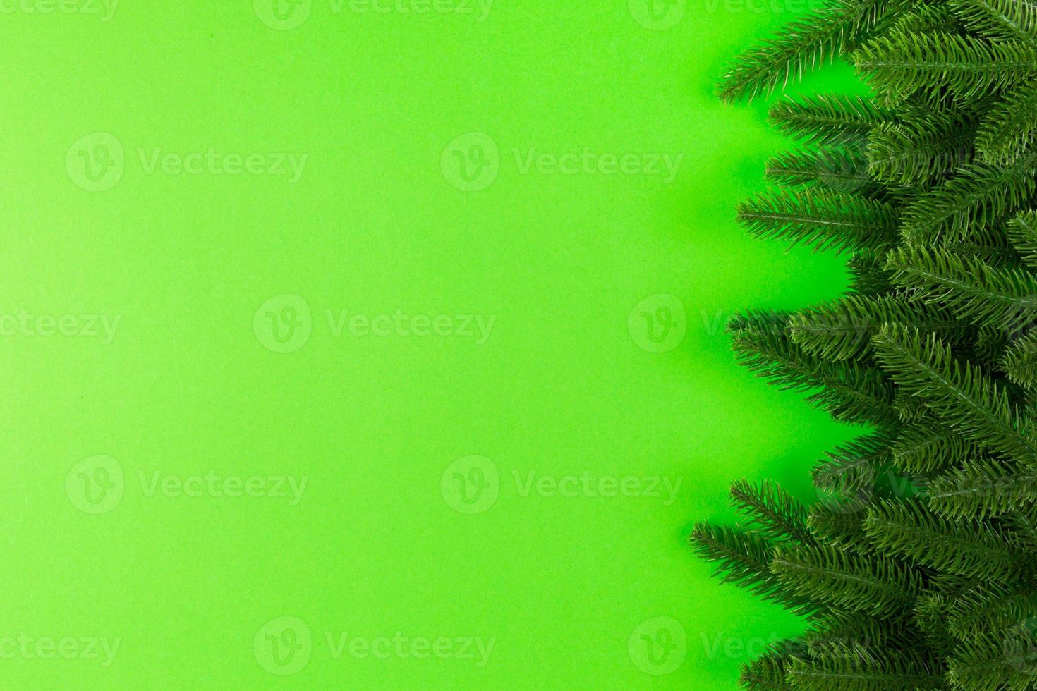 Top view of frame made of fir tree on colorful background with copy space. Merry Christmas concept photo