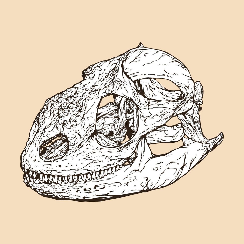 Ilustración de vector de cabeza de cráneo de iguana terrestre de Galápagos