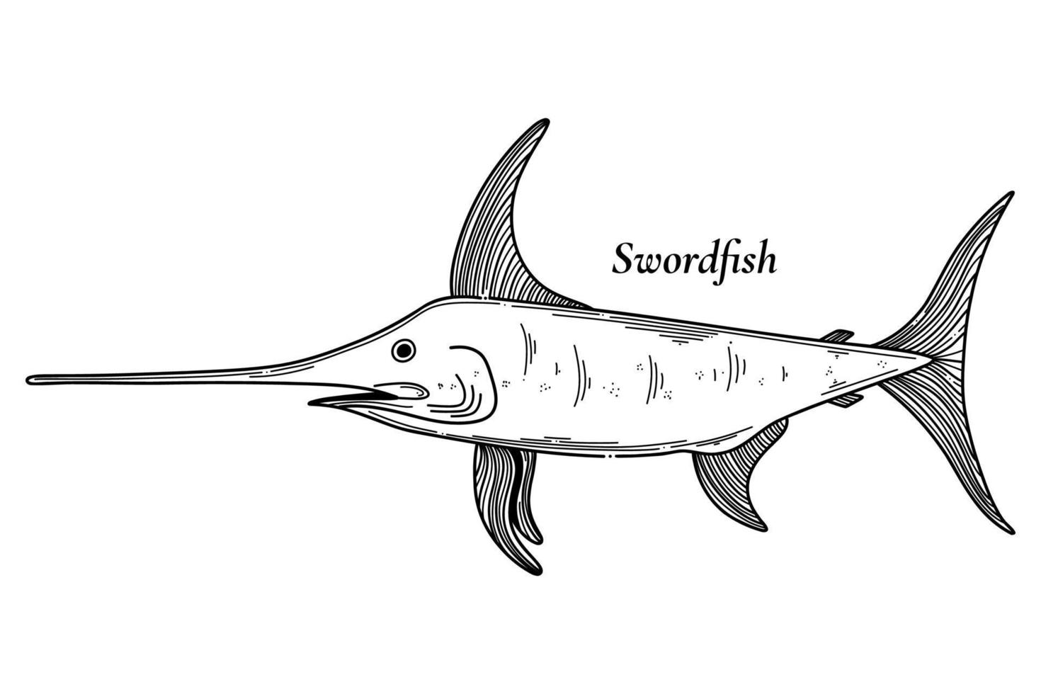 ilustración vectorial de pez espada dibujada a mano aislada sobre fondo blanco vector