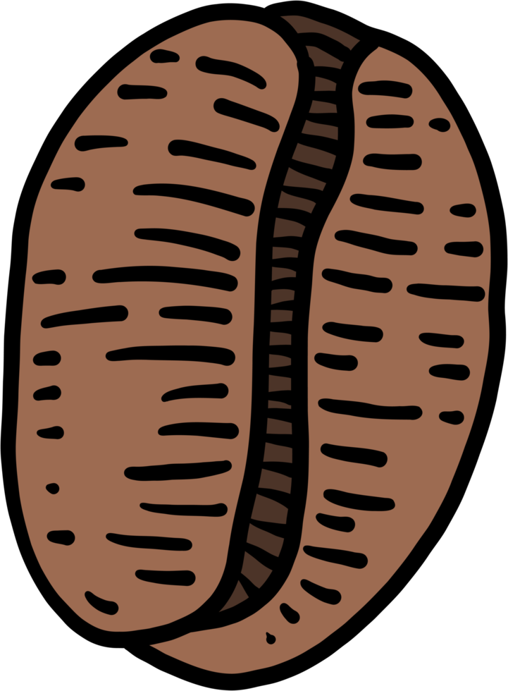 simplicity coffee bean freehand drawing flat design. png