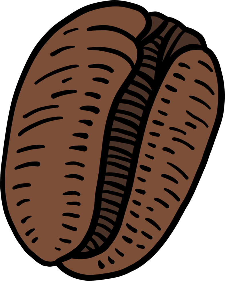 simplicidad diseño plano de dibujo a mano alzada de granos de café. png