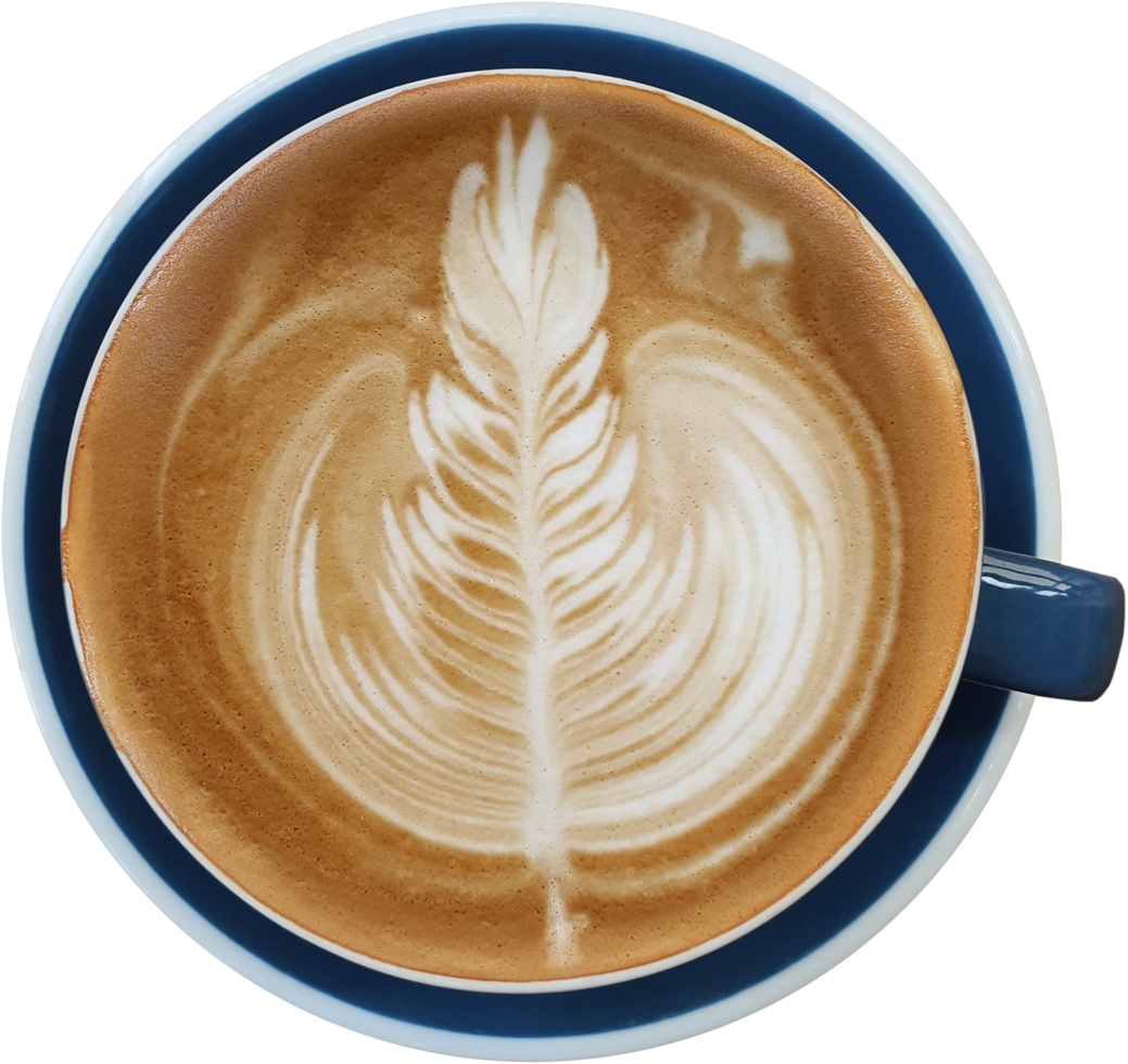 isolated coffee latte top view in a mug. png