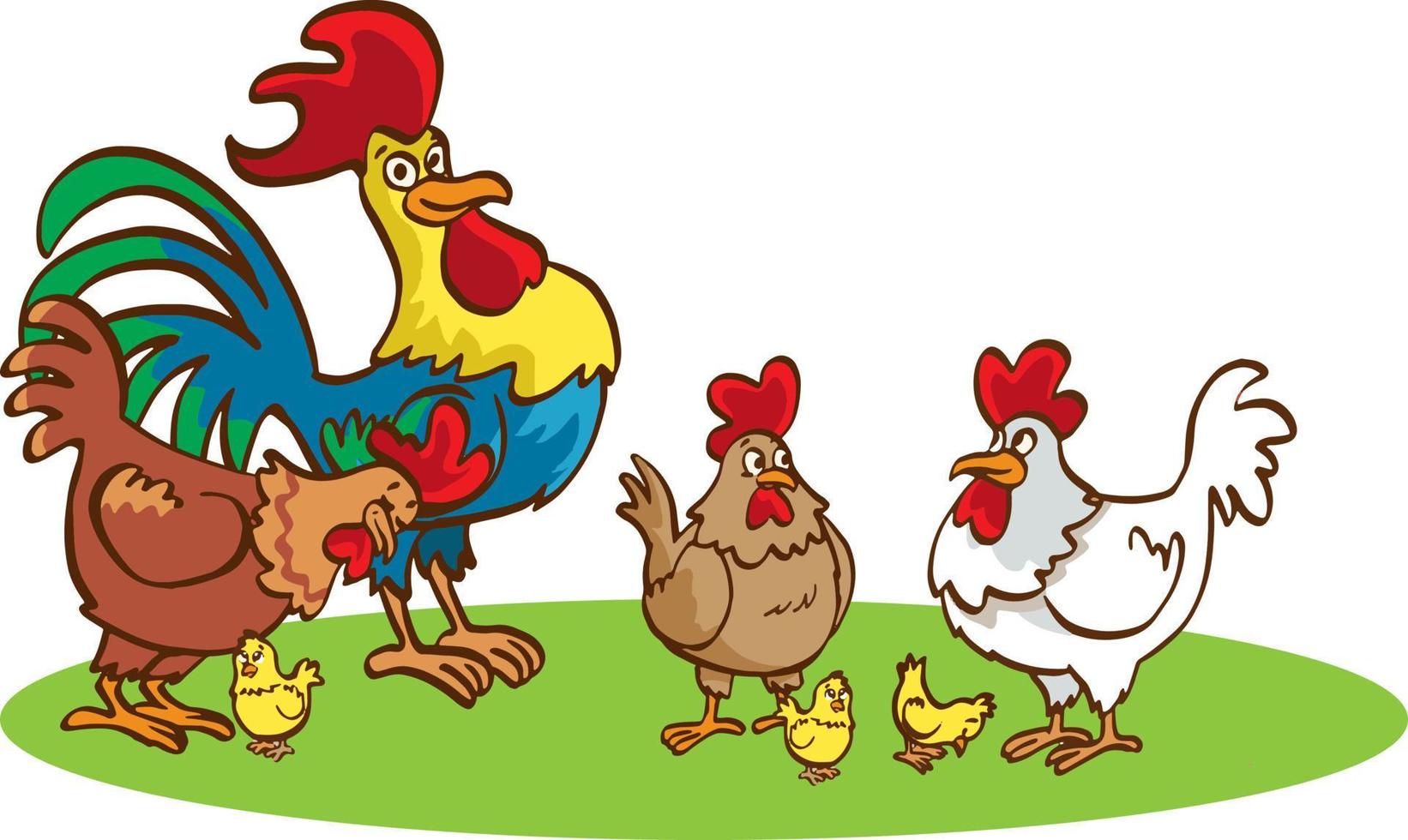 gallina adulta y gallo con pollos sobre un fondo blanco. linda familia de pollos con sus pollos al estilo de las caricaturas. vector