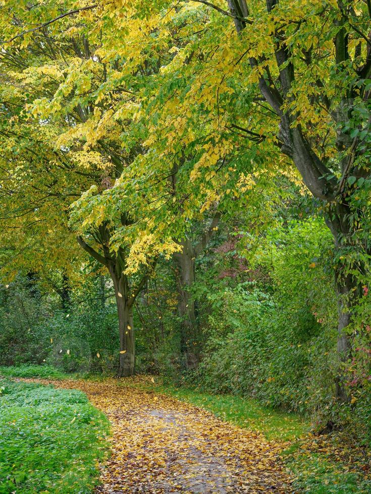 autumn time at a river in germany photo