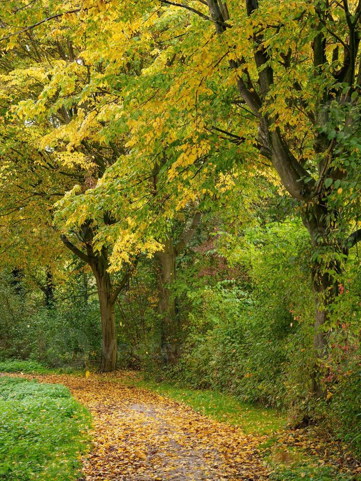 autumn time at a river in germany photo