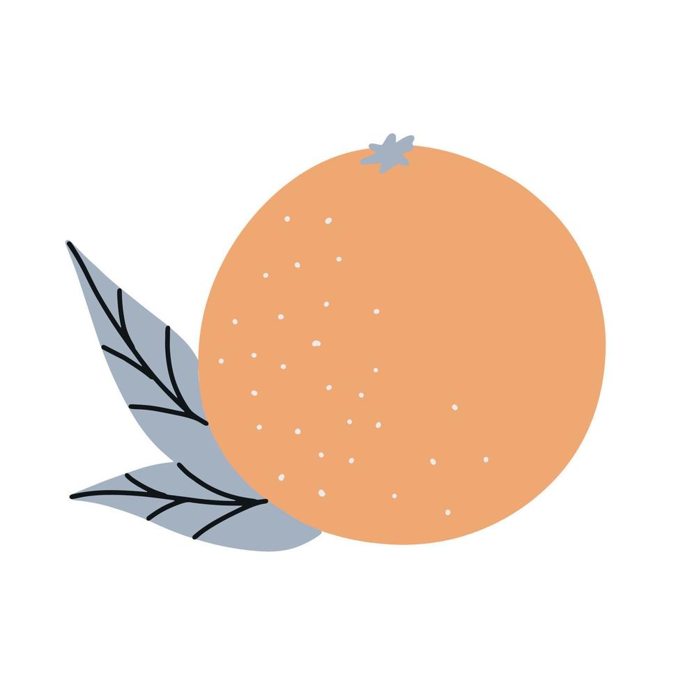 Orange fruit. Hand drawn simple vector illustration