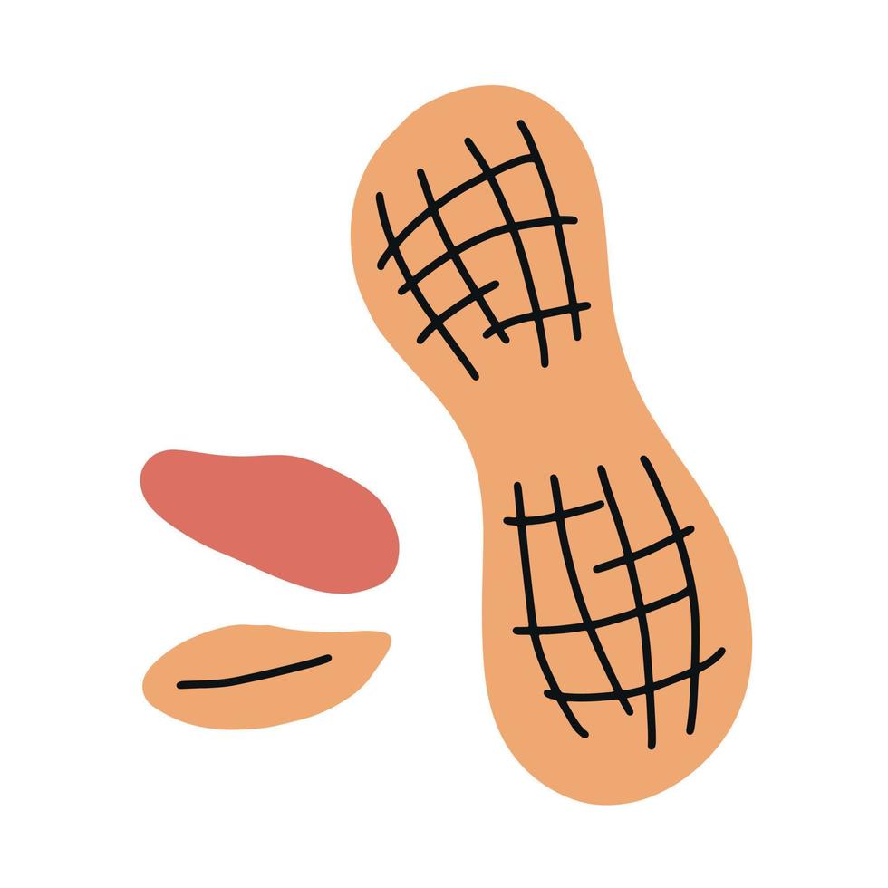 Peanut. Hand drawn simple vector illustration