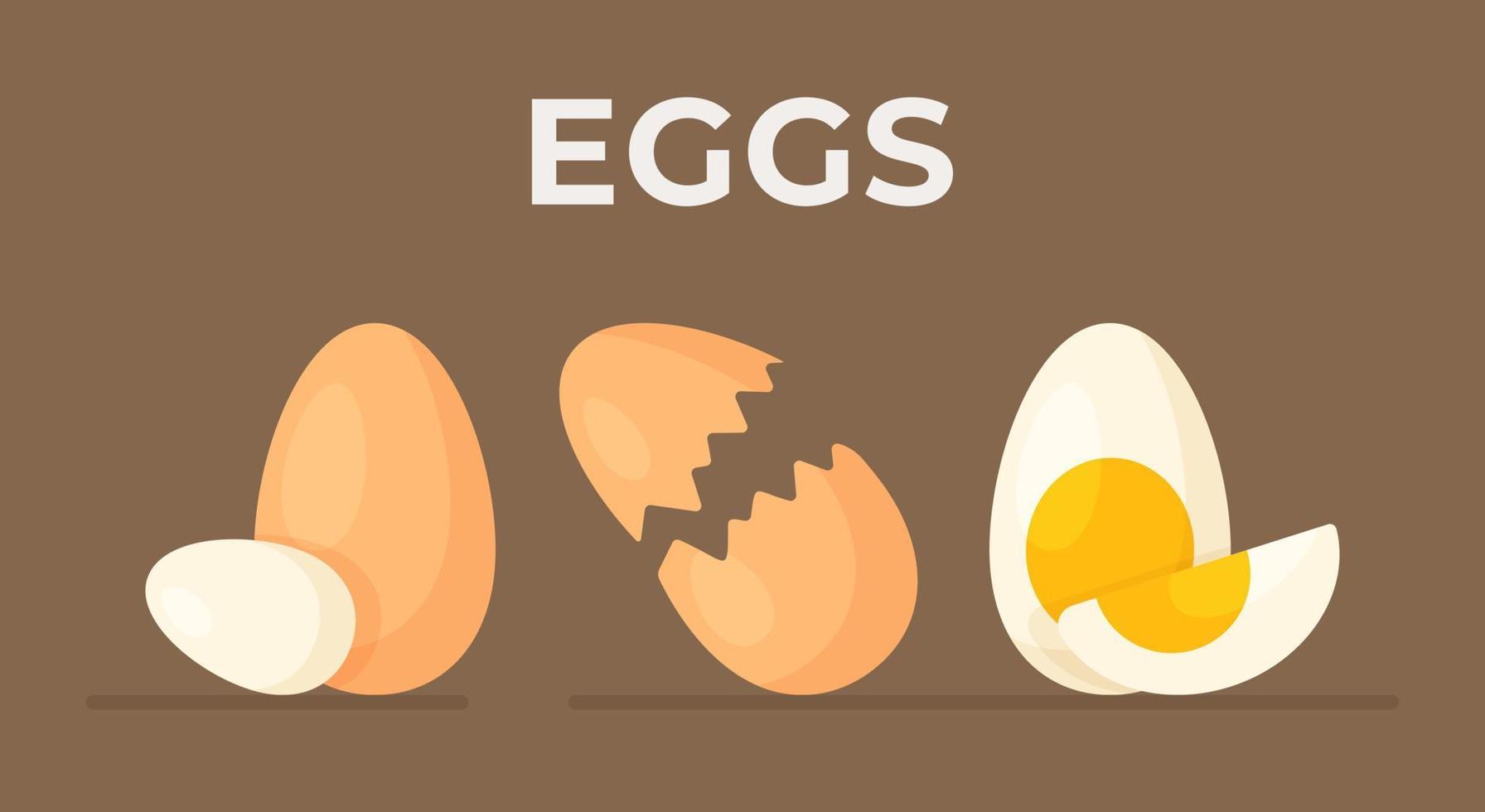 pancarta de huevos crudos sobre un fondo marrón. se aíslan los huevos enteros, rotos y cocidos. haciendo el desayuno. útil. vector