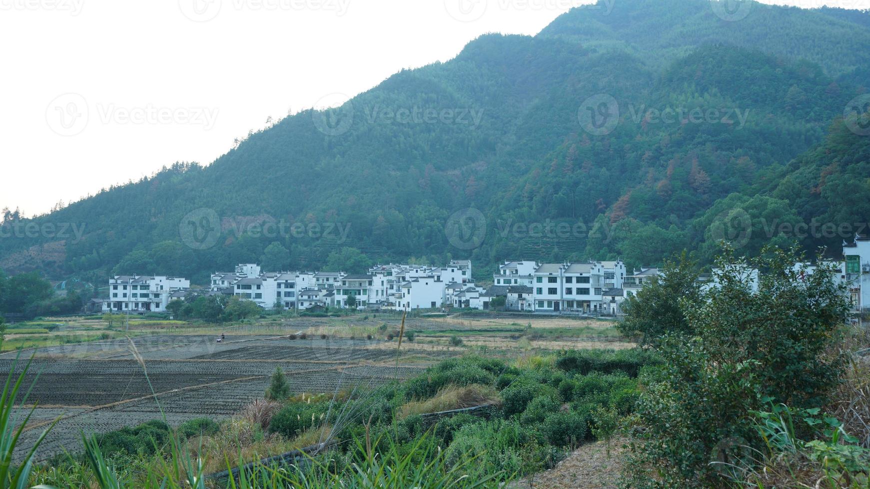 The beautiful traditional Chinese village view with the classical architecture and fresh green trees as background photo