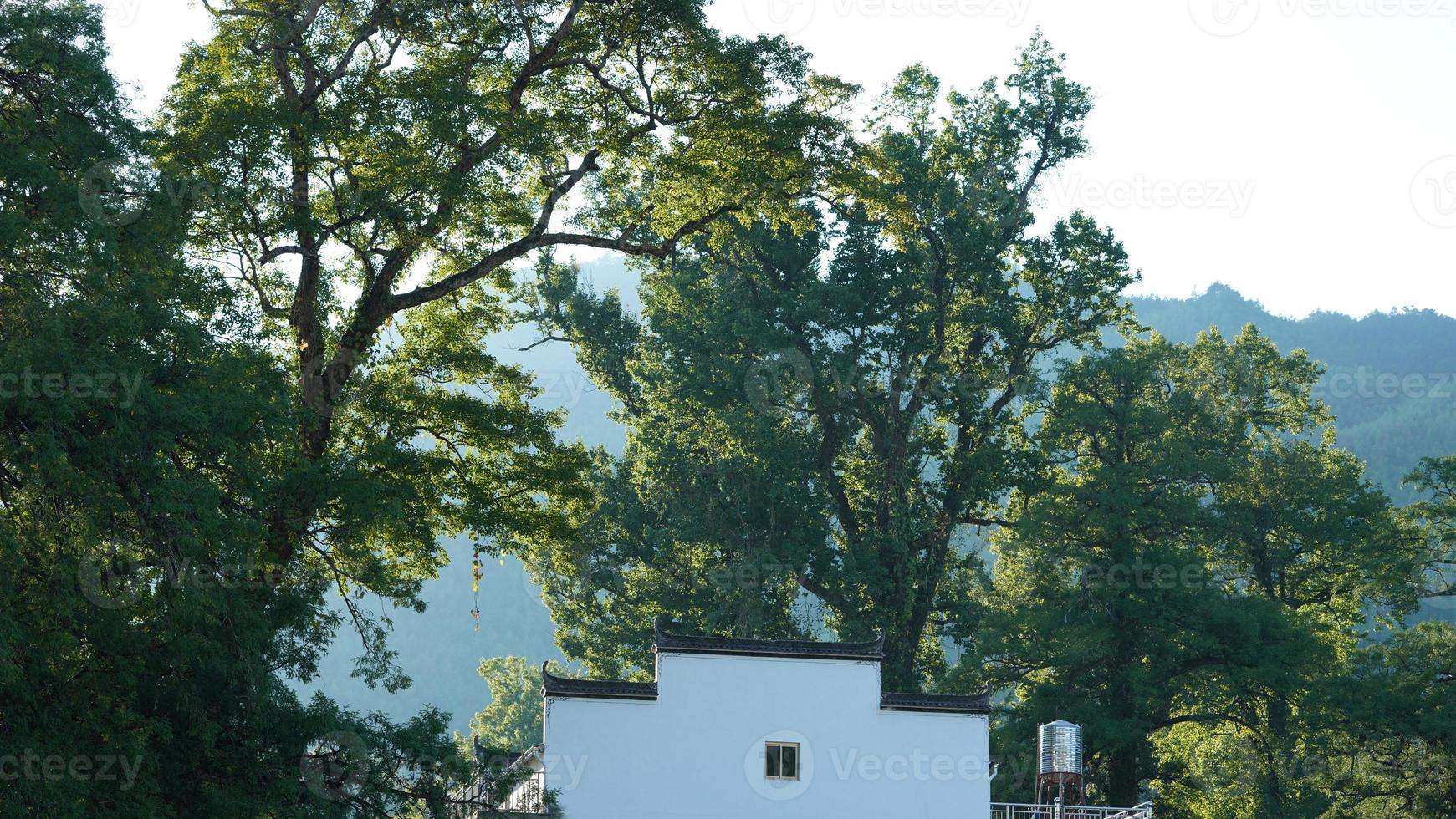 The beautiful traditional Chinese village view with the classical architecture and fresh green trees as background photo