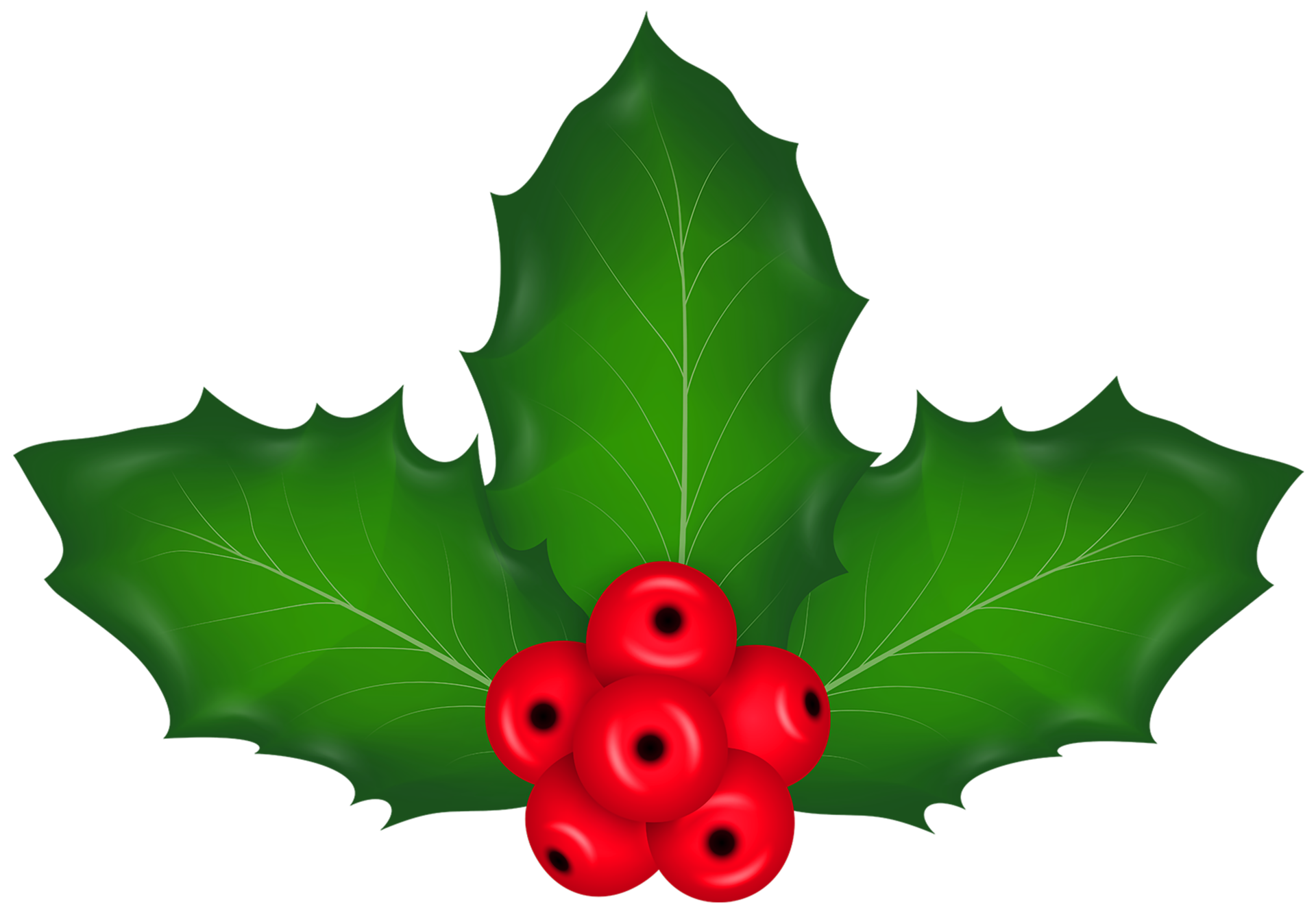 Christmas Mistletoe Transparent 13362783 PNG